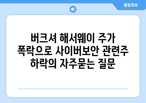 버크셔 해서웨이 주가 폭락으로 사이버보안 관련주 하락