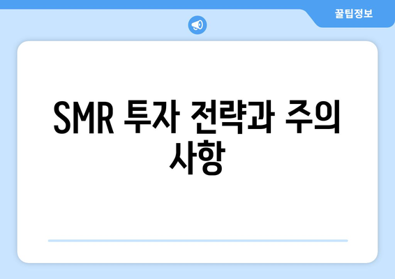 SMR 투자 전략과 주의 사항