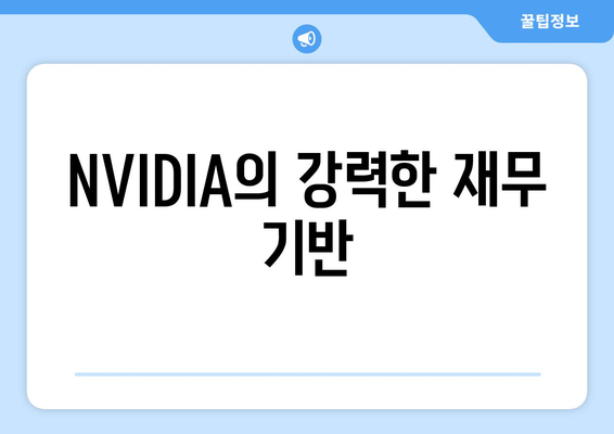 NVIDIA의 강력한 재무 기반