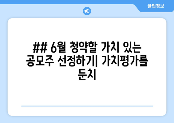 ## 6월 청약할 가치 있는 공모주 선정하기| 가치평가를 둔치