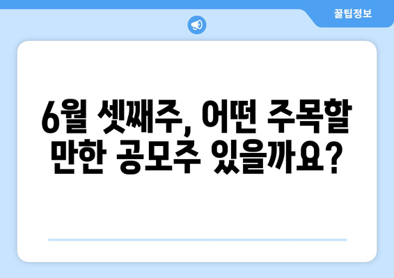 6월 셋째주, 어떤 주목할 만한 공모주 있을까요?