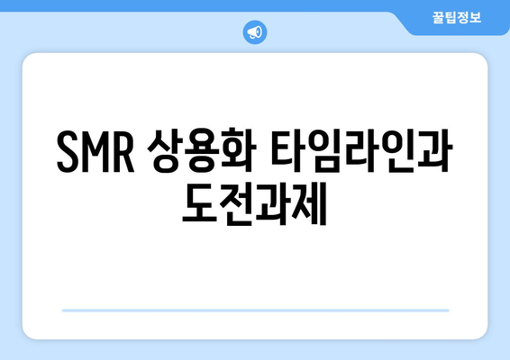 SMR 상용화 타임라인과 도전과제