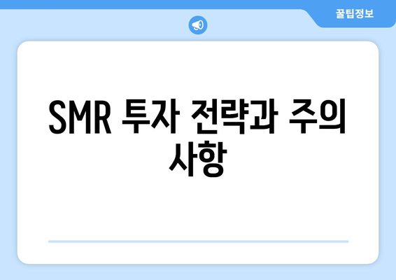 SMR 투자 전략과 주의 사항