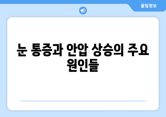 눈 통증과 안압 상승| 원인 분석 및 해결 방안 | 눈 건강, 안과 질환, 시력 저하