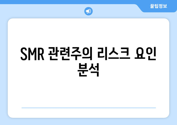 SMR 관련주의 리스크 요인 분석