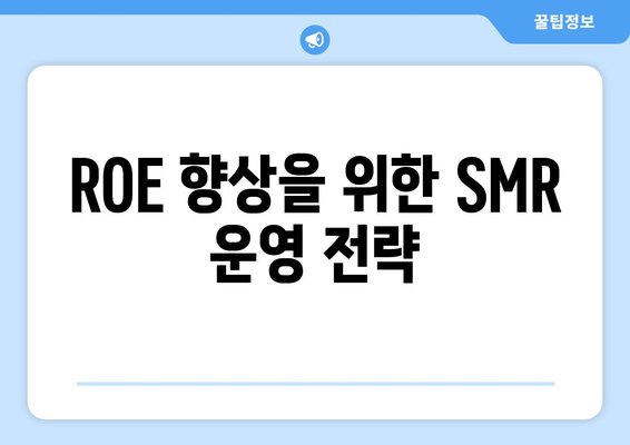 ROE 향상을 위한 SMR 운영 전략