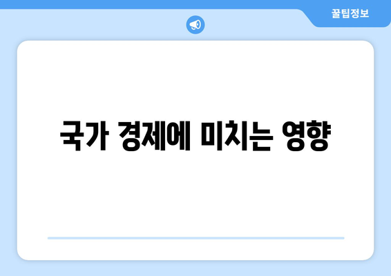 국가 경제에 미치는 영향