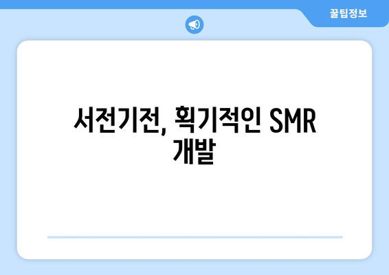 서전기전, 획기적인 SMR 개발