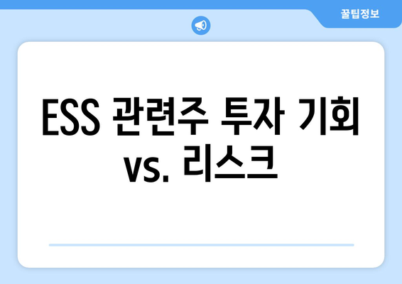 ESS 관련주 투자 기회 vs. 리스크