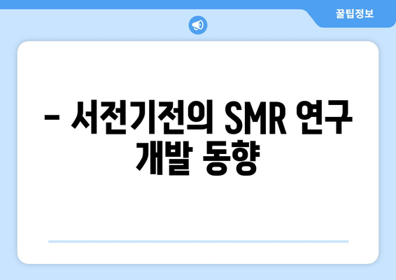 - 서전기전의 SMR 연구 개발 동향