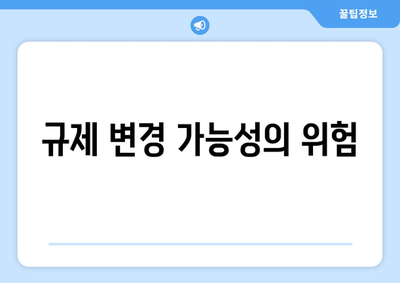 규제 변경 가능성의 위험