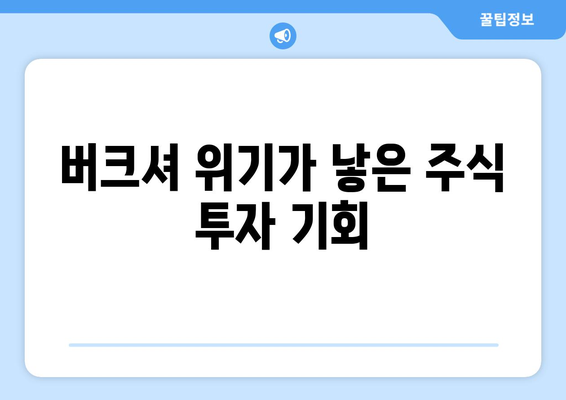 버크셔 위기가 낳은 주식 투자 기회