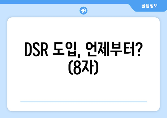 DSR 도입, 언제부터? (8자)