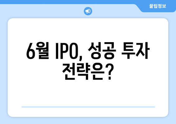 6월 IPO, 성공 투자 전략은?