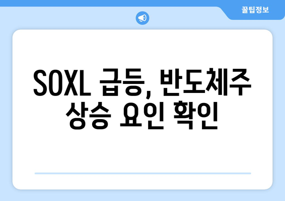 SOXL 급등, 반도체주 상승 요인 확인