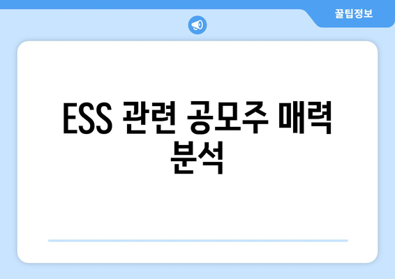 ESS 관련 공모주 매력 분석