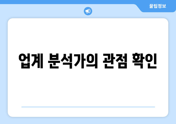 업계 분석가의 관점 확인