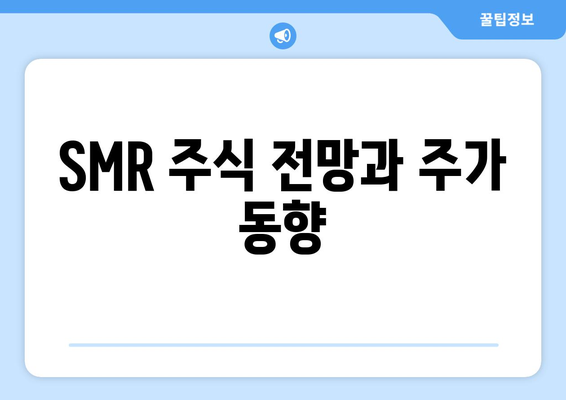 SMR 주식 전망과 주가 동향