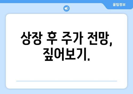 상장 후 주가 전망, 짚어보기.