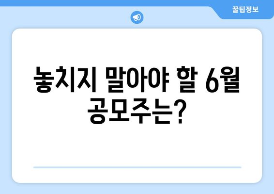 놓치지 말아야 할 6월 공모주는?