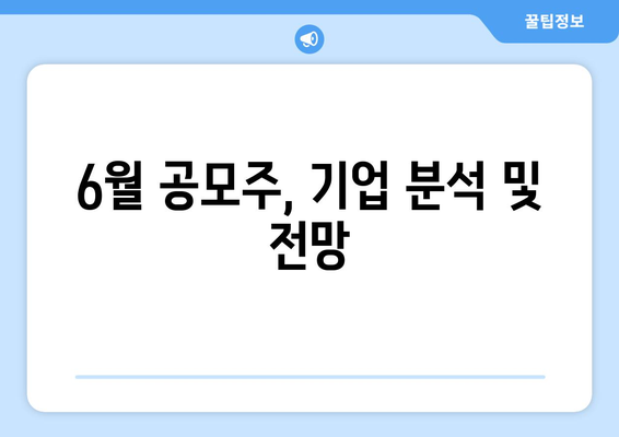 6월 공모주, 기업 분석 및 전망