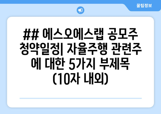 ## 에스오에스랩 공모주 청약일정| 자율주행 관련주 에 대한 5가지 부제목 (10자 내외)