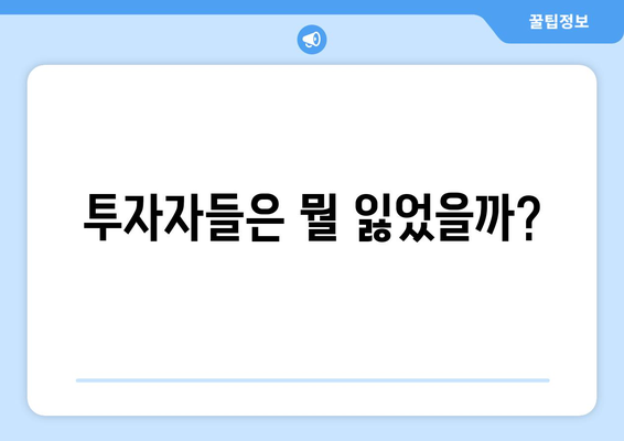 투자자들은 뭘 잃었을까?