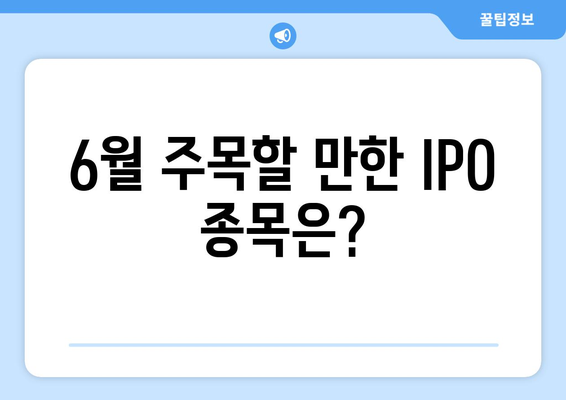 6월 주목할 만한 IPO 종목은?