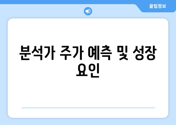 분석가 주가 예측 및 성장 요인