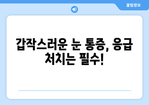 갑작스러운 눈 통증, 왼쪽 or 오른쪽? 원인과 대처법 | 눈 통증, 급성 통증, 안과 진료, 응급 처치