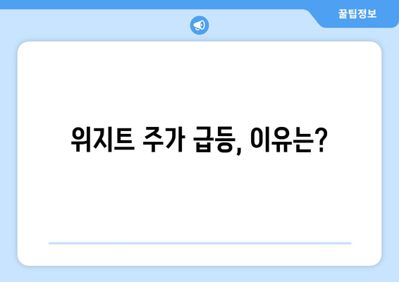 위지트 주가 급등, 이유는?