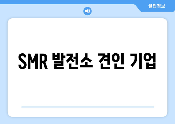 SMR 발전소 견인 기업