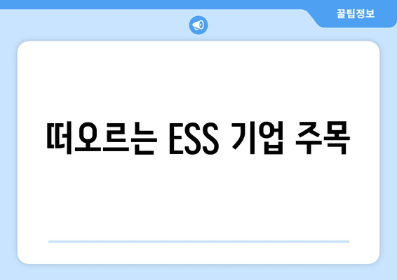 떠오르는 ESS 기업 주목