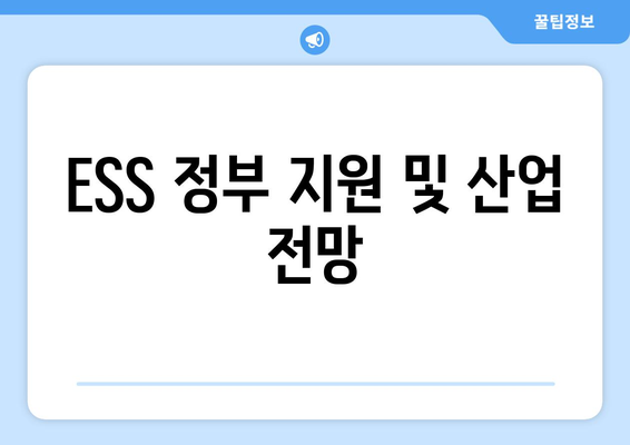 ESS 정부 지원 및 산업 전망