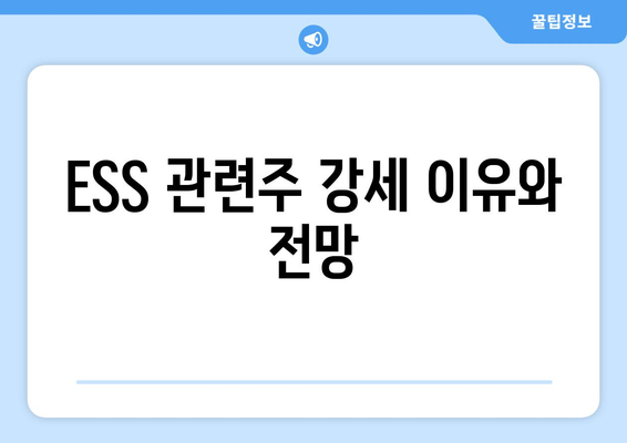 ESS 관련주 강세 이유와 전망