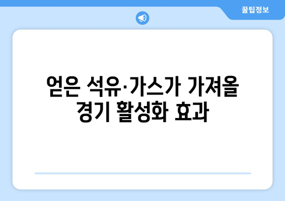 얻은 석유·가스가 가져올 경기 활성화 효과