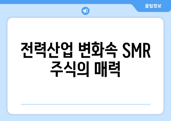 전력산업 변화속 SMR 주식의 매력