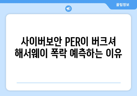 사이버보안 PER이 버크셔 해서웨이 폭락 예측하는 이유