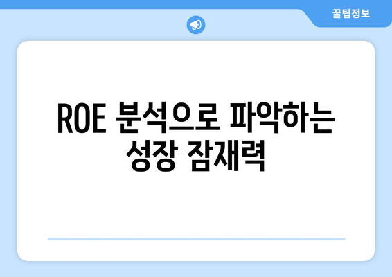 ROE 분석으로 파악하는 성장 잠재력