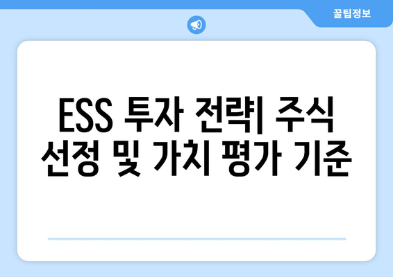 ESS 투자 전략| 주식 선정 및 가치 평가 기준