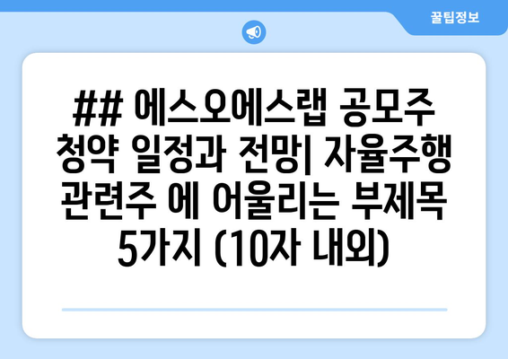 ## 에스오에스랩 공모주 청약 일정과 전망| 자율주행 관련주 에 어울리는 부제목 5가지 (10자 내외)