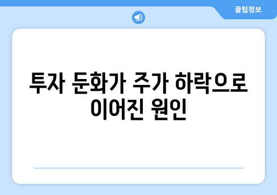 투자 둔화가 주가 하락으로 이어진 원인