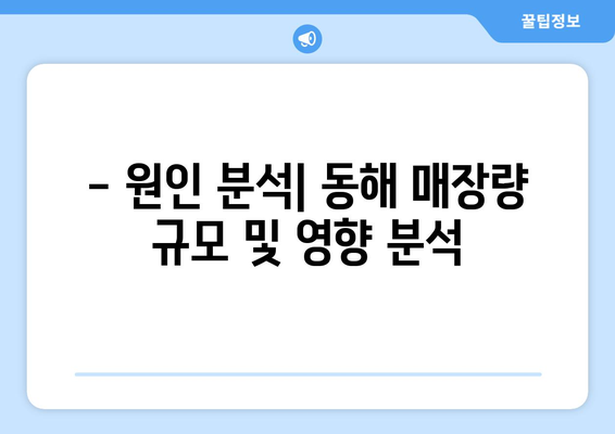 - 원인 분석| 동해 매장량 규모 및 영향 분석