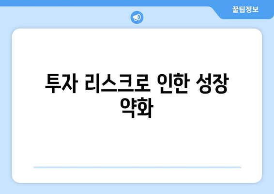 투자 리스크로 인한 성장 약화