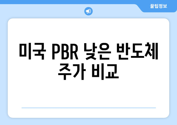 미국 PBR 낮은 반도체 주가 비교