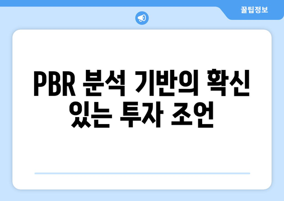 PBR 분석 기반의 확신 있는 투자 조언