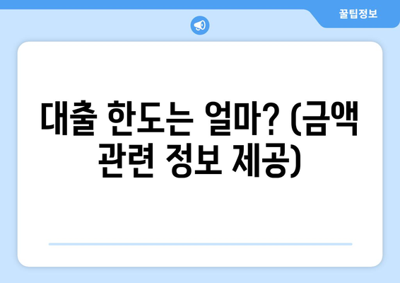 대출 한도는 얼마? (금액 관련 정보 제공)