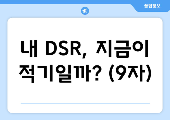 내 DSR, 지금이 적기일까? (9자)