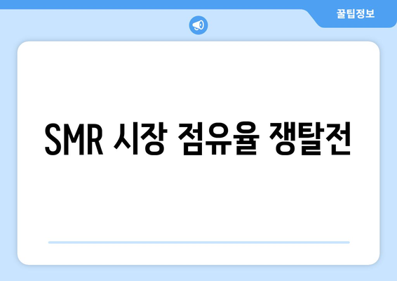 SMR 시장 점유율 쟁탈전