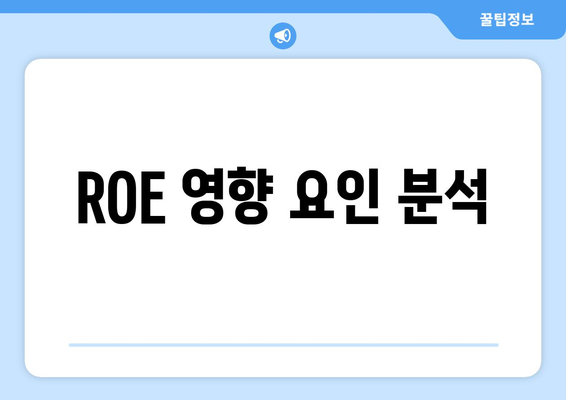 ROE 영향 요인 분석